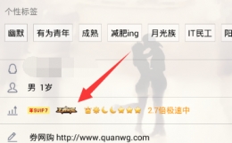 qq王者荣耀图标点亮方法教程