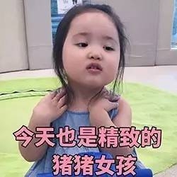 猪猪女孩和猪精女孩到底什么意思？猪精女孩是什么梗？