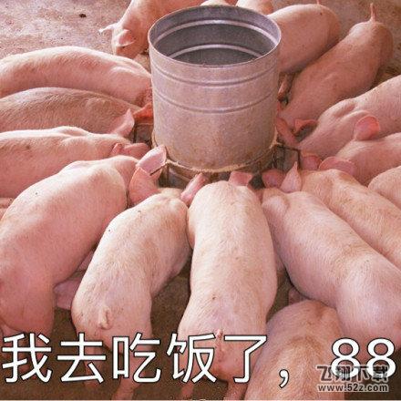 猪猪女孩和猪精女孩到底什么意思？猪精女孩是什么梗？