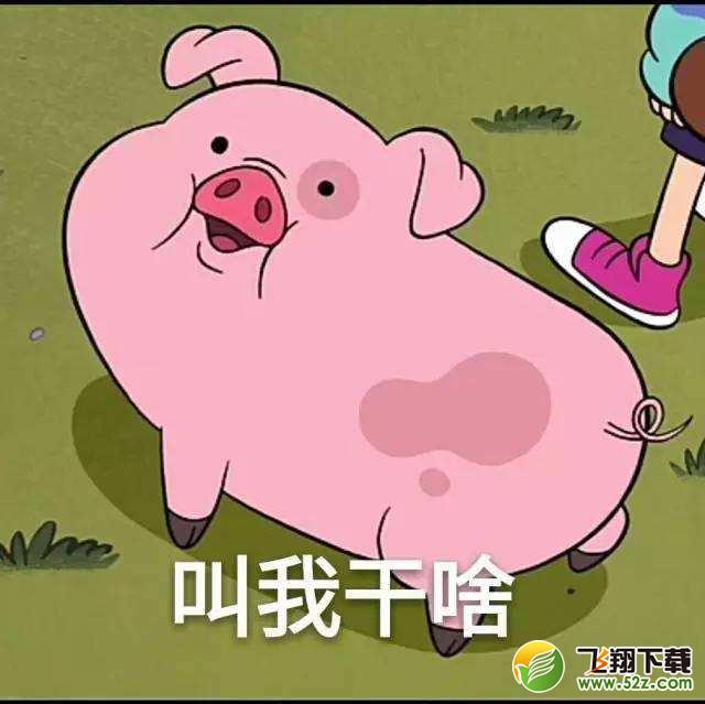 猪猪女孩和猪精女孩到底什么意思？猪精女孩是什么梗？