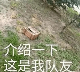 “介绍一下这是我队友”是什么梗