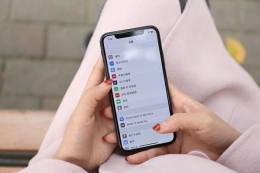 iPhone X支付宝刷脸支付教程