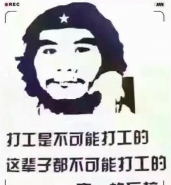 “打工是不可能打工的”是什么梗 “打工是不可能打工的”来源出处