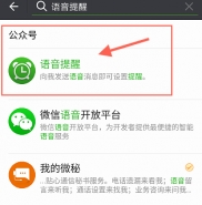 微信红包语音提醒设置方法教程