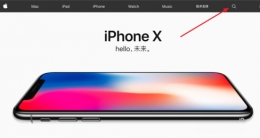 苹果iPhone X序列号查看激活时间方法教程