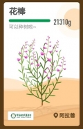 支付宝蚂蚁森林花棒详情一览