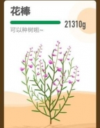 支付宝app蚂蚁森林花棒种植方法教程