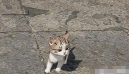 逆水寒怎么获得宠物猫 养猫攻略/宠物系统详解