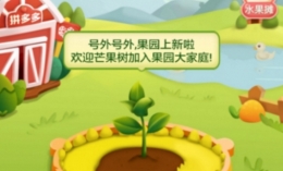 拼多多app多多果园玩法教程