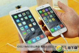 苹果iOS12 Beta3降级至ios12 beta2/1图文教程