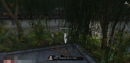 逆水寒京华少年行小偷在哪 大相国寺的小偷位置坐标分享
