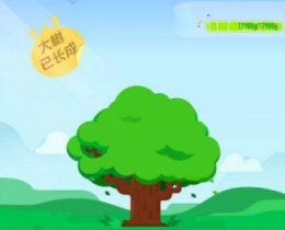 支付宝蚂蚁森林保护地区介绍
