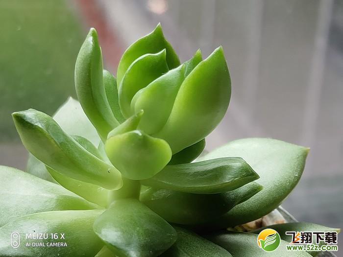 3X变焦