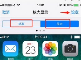 苹果iPhone xs更改桌面图标大小方法教程