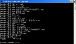 bat文件是什么