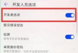 华为畅享9plus手机开发者选项打开方法教程