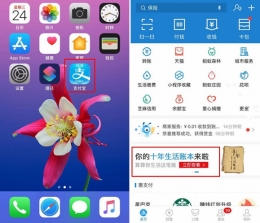 支付宝app我的十年生活账本查看方法教程