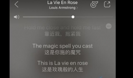 抖音年代秀背景音乐《La Vie En Rose》在线试听及歌词MV视频