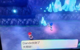 精灵宝可梦Lets Go练级+刷闪+鳞片+回血地点推荐