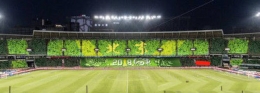 “TIFO”是什么意思 “TIFO”什么梗