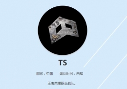 王者荣耀TS战队阵容一览