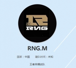 王者荣耀RNG.M战队阵容一览