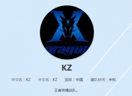 王者荣耀KZ战队阵容一览