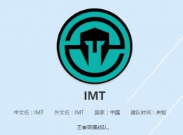 王者荣耀IMT战队阵容一览