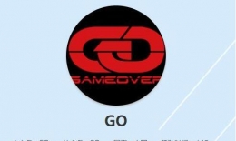 王者荣耀GO战队阵容一览