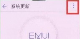 荣耀10青春版手机关闭系统自动更新方法教程