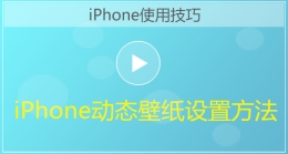 iPhone手机动态壁纸设置视频教程