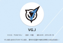 DOTA2VGJ战队阵容一览