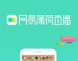 网易薄荷停服是怎么回事 网易薄荷停服的原因是什么