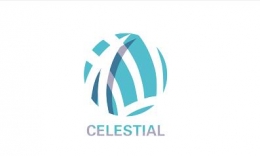 守望先锋Celestial队资料