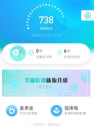 支付宝app芝麻粒作用介绍