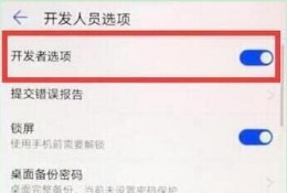 华为畅享9手机开发者选项打开方法教程