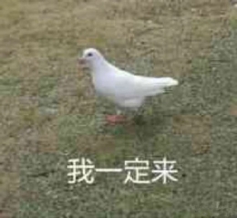 “鸽子咕咕咕”是什么梗 “鸽子咕咕咕”是什么意思