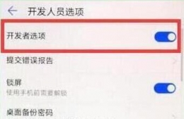 荣耀畅玩8a手机开发者选项打开方法教程