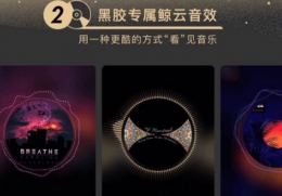 网易云音乐app黑胶vip开通方法教程