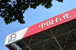 中石化黑天鹅事件是怎么回事 中石化黑天鹅事件是什么情况