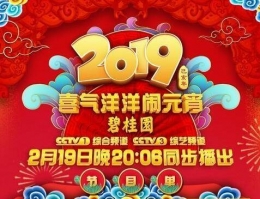 2019猪年央视元宵晚会节目单一览