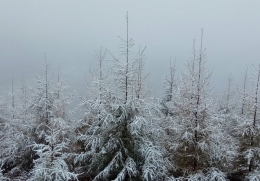 北京门头沟下雪是怎么回事 北京门头沟下雪是什么情况