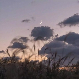 能带来好运的微信头像个性图片 保佑好运连连的图片微信头像