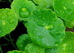 下雨天唯美心情说说 朋友圈下雨天唯美的心情说说