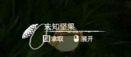 《绿色地狱》坚果食用效果一览