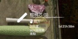 《绿色地狱》棕榈芯食用效果一览