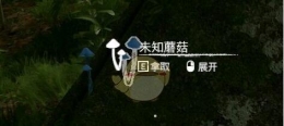 《绿色地狱》蓝蘑菇食用效果一览