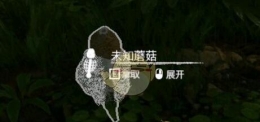 《绿色地狱》白蘑菇食用效果一览