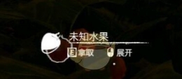 《绿色地狱》橘子食用效果一览