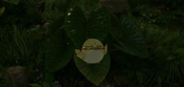 《绿色地狱》山芋食用效果一览